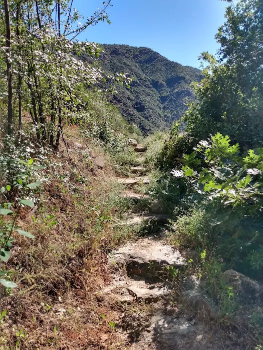 South Fork Campground 3