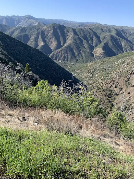 South Fork Campground 9