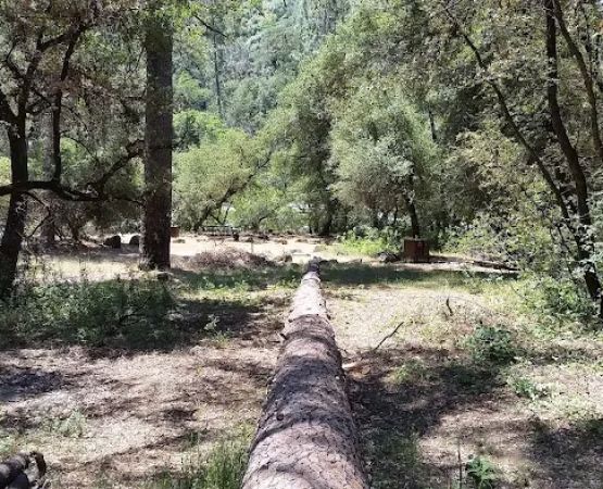 Lumsden Bridge Campground