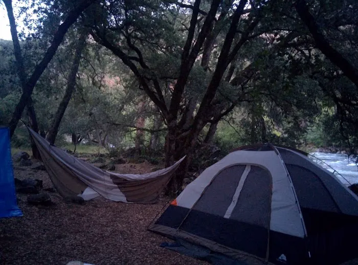 Lumsden Bridge Campground 6