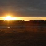 Coyote Flat Campground