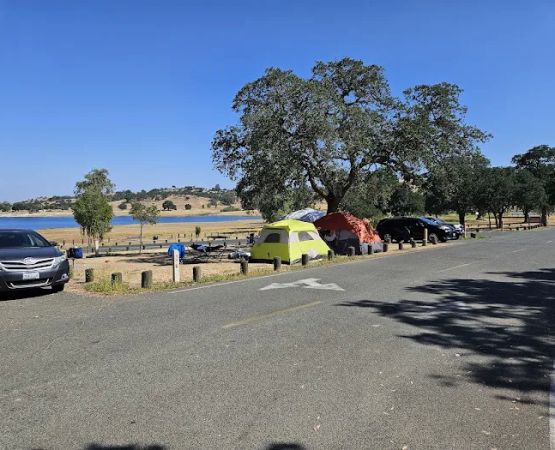 Camanche Lake Blue Oaks Campground North Shore