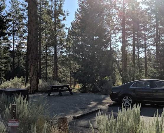 Indian Creek Campground Markleeville CA
