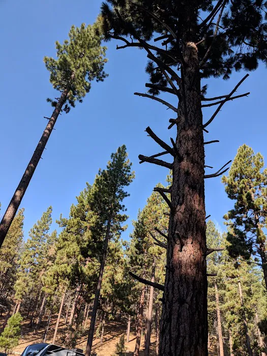 Indian Creek Campground Markleeville CA 5