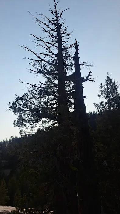 Big Bend Group Campground (Yuba River) 0