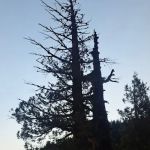 Big Bend Group Campground (Yuba River)