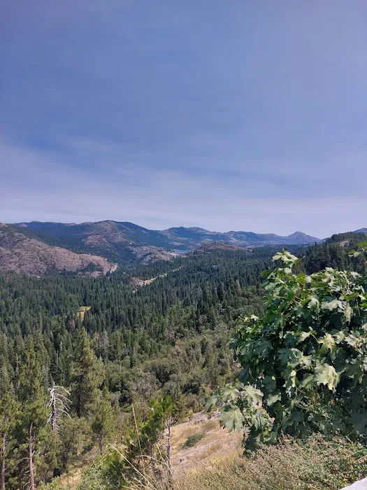 Big Bend Group Campground (Yuba River) 8