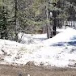 Woodchuck Campground