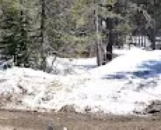 Woodchuck Campground