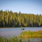 Thousand Trails Snowflower