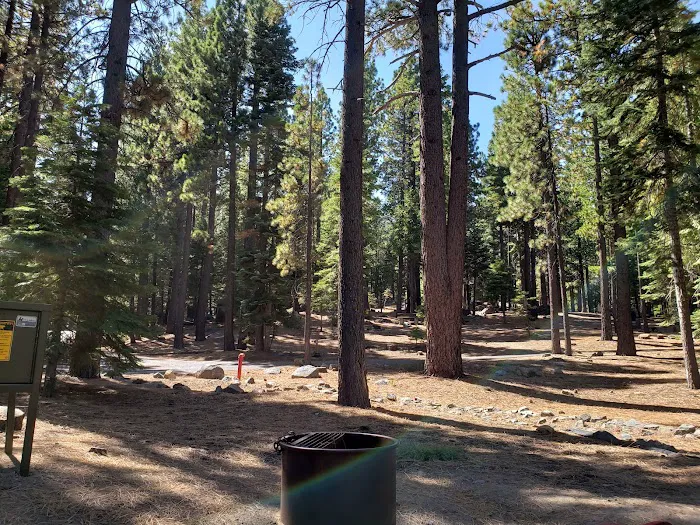 D.L. Bliss Lower Pines Campground 5