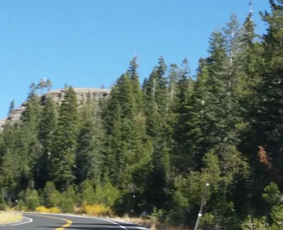 Overflow Campground