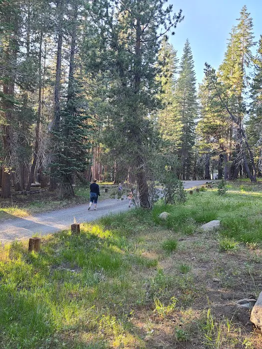 Lodgepole Group Campground 8