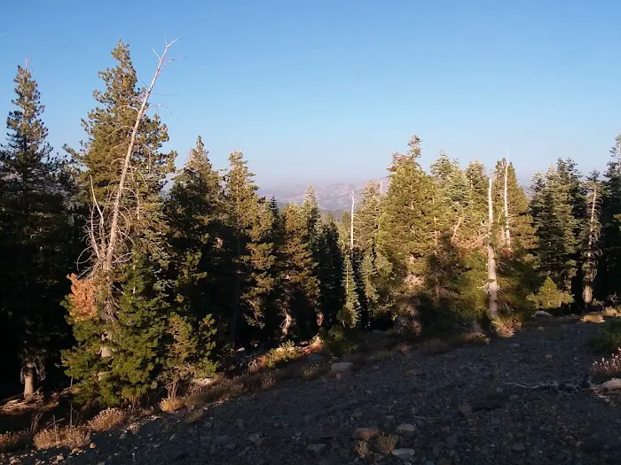 Lodgepole Group Campground 0