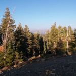 Lodgepole Group Campground