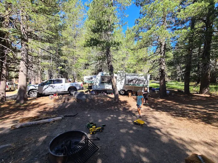Lodgepole Group Campground 9