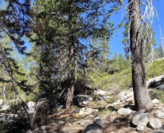 Backpackers Campground