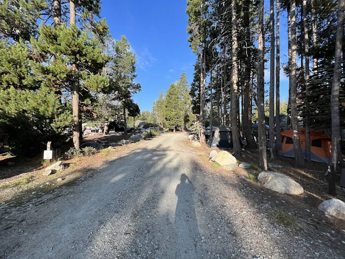 Rocky Point Campground 8
