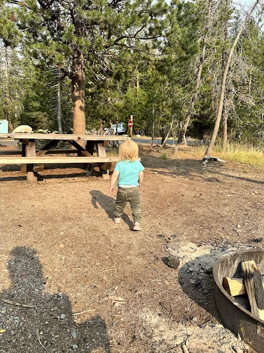 Spicer Meadow Campground 2