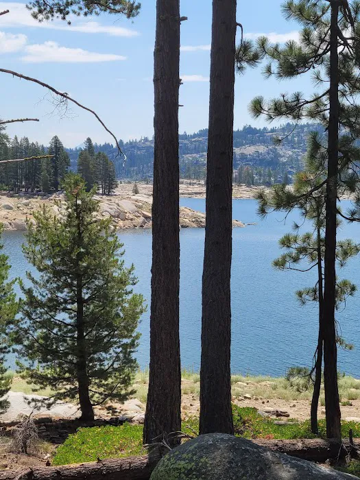 Spicer Meadow Campground 4