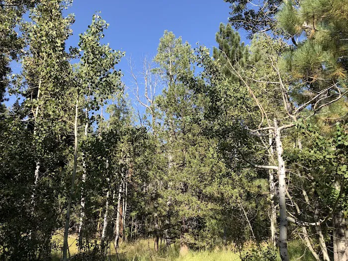 Silver Creek Campground 5