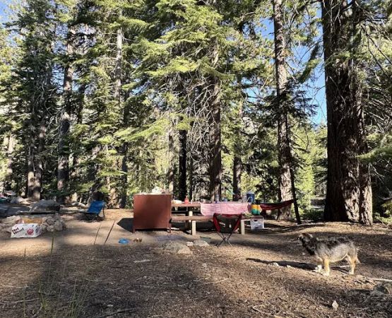Silver Creek Campground