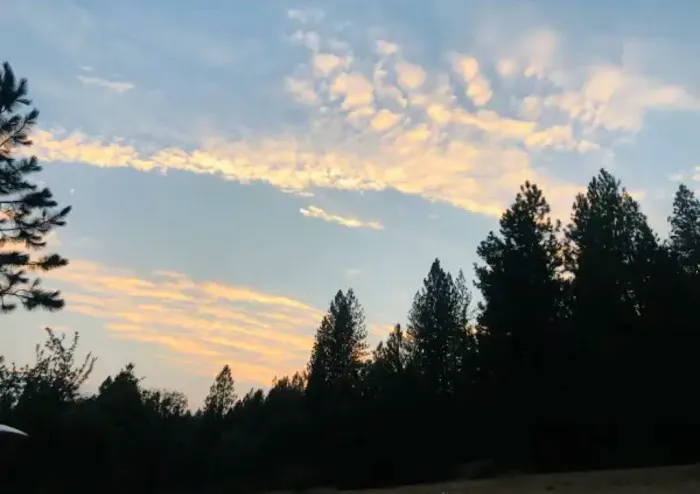 Lazy G Ranch Creekside Camping Retreat 6