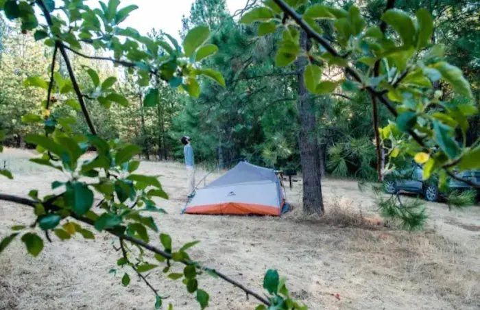 Lazy G Ranch Creekside Camping Retreat 4