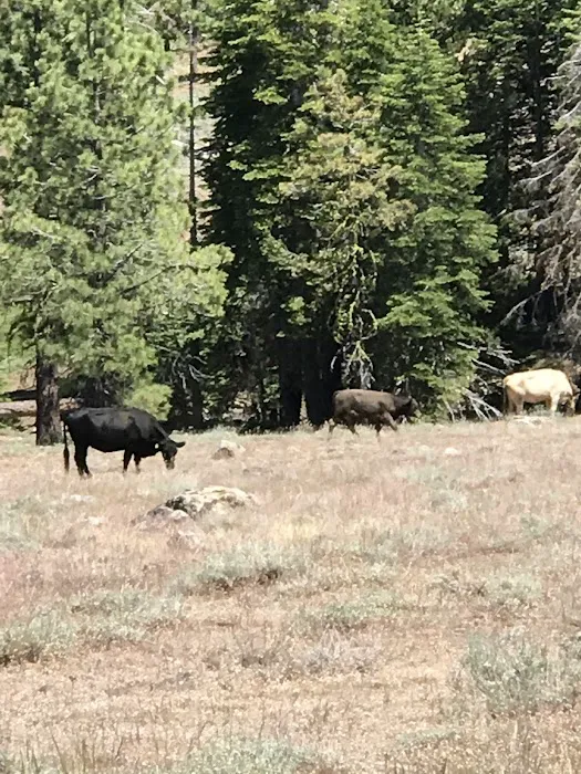 Mill Creek Campground 3