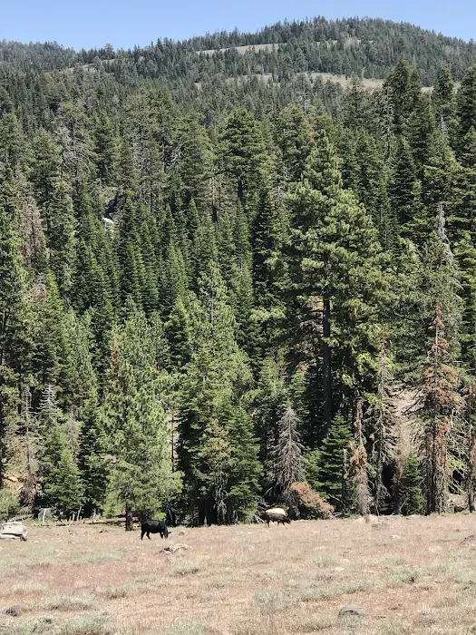 Mill Creek Campground 5