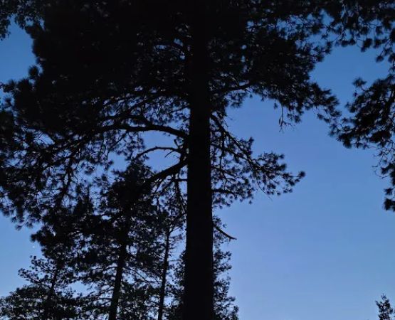 Cascade Campground