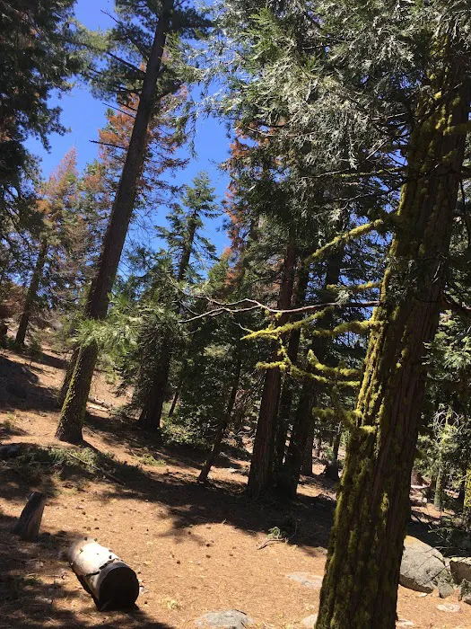 Cascade Campground 8