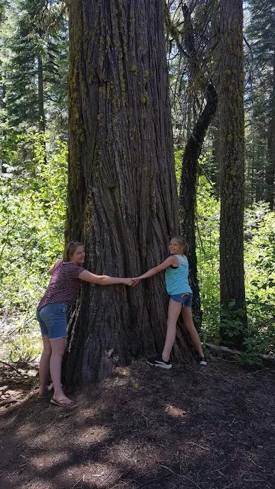 Cascade Campground 5