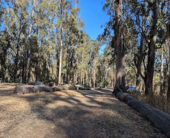 Campground Site 13