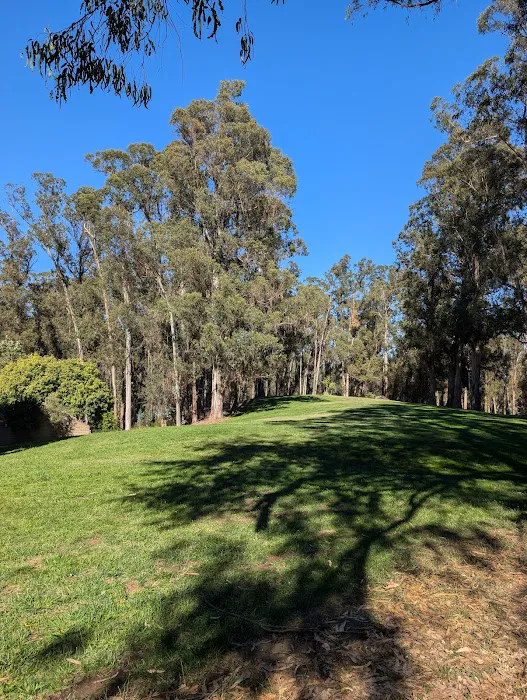 Campground Site 13 1