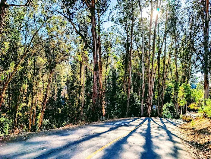 Campground Site 13 7
