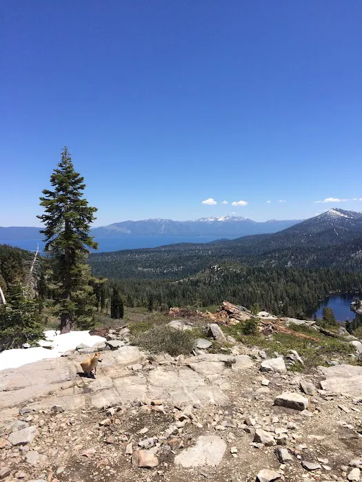 McKinney/Rubicon Trailhead 8