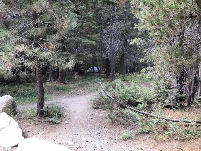 Blackwood Canyon OHV Staging Area 6