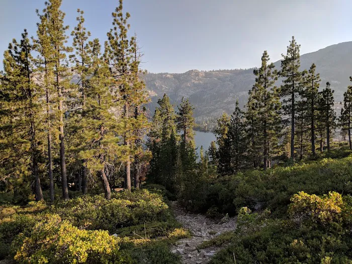 Faucherie Group Campground 7