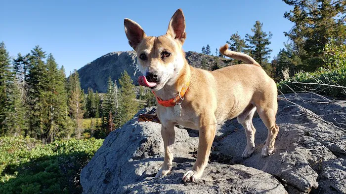 Grouse Ridge Campground 5