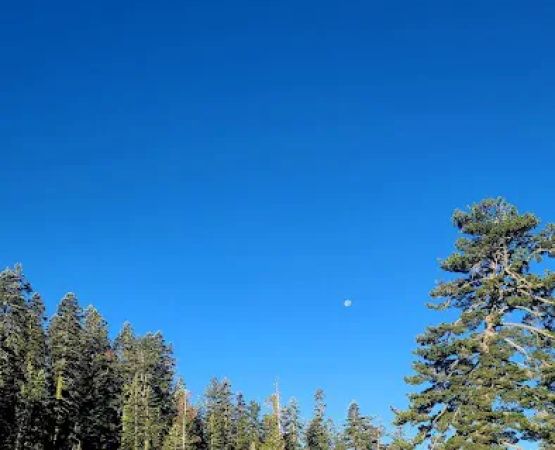 Grouse Ridge Campground