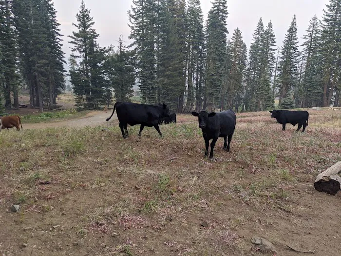 Grouse Ridge Campground 1