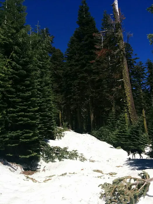 Grouse Ridge Lookout 8
