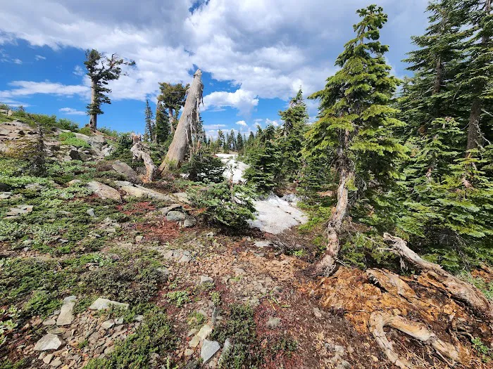 Grouse Ridge Lookout 9
