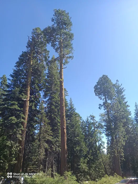 Blue Lake Dispersed Campground 4