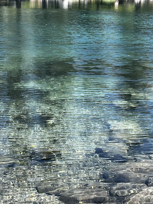 Blue Lake Dispersed Campground 6