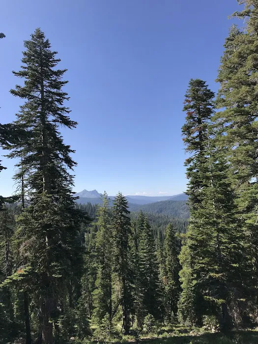 Fir Top Campground 2
