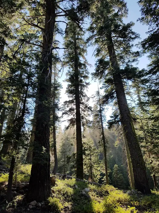 FINDLEY CAMPGROUND 2