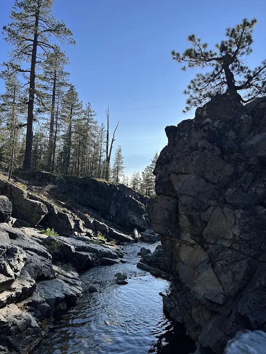 East Meadow Campground 3
