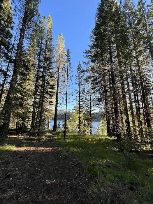 East Meadow Campground 6